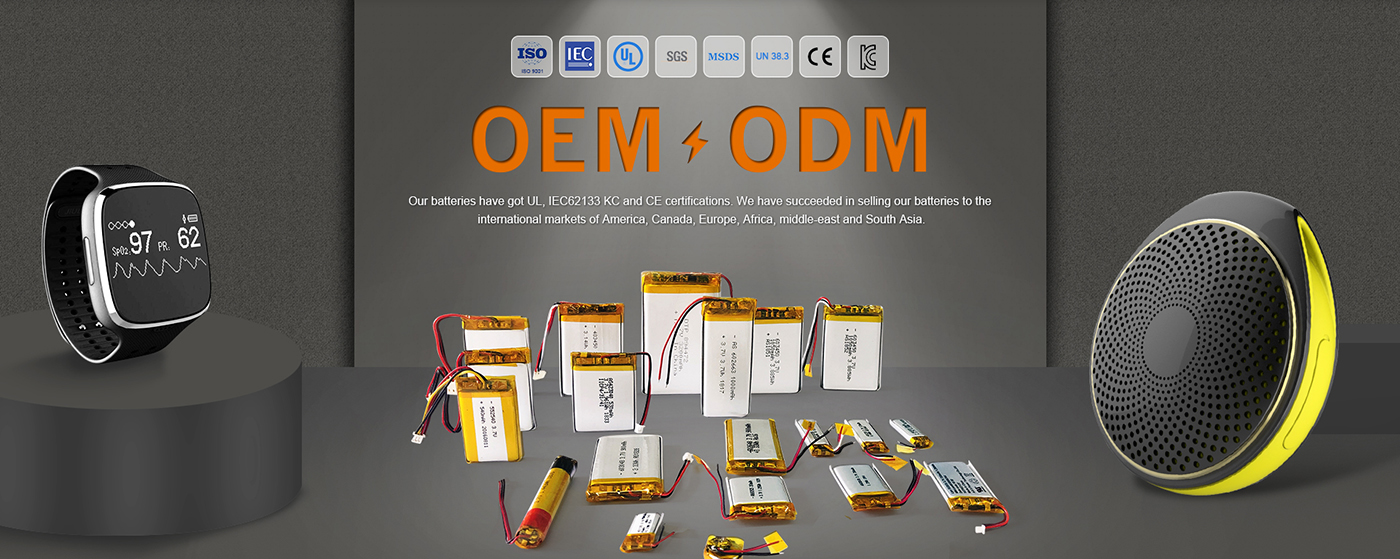 Lithium Polymer Battery