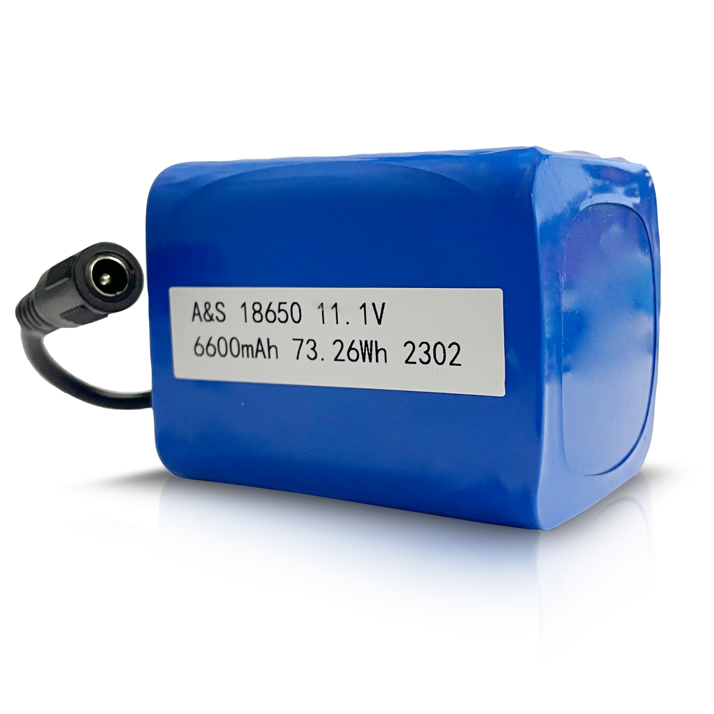  18650 11.1V 6600mAh 73.26Wh Lithium Ion Battery Pack 500 Deep Cycles for Electronic Sprayer