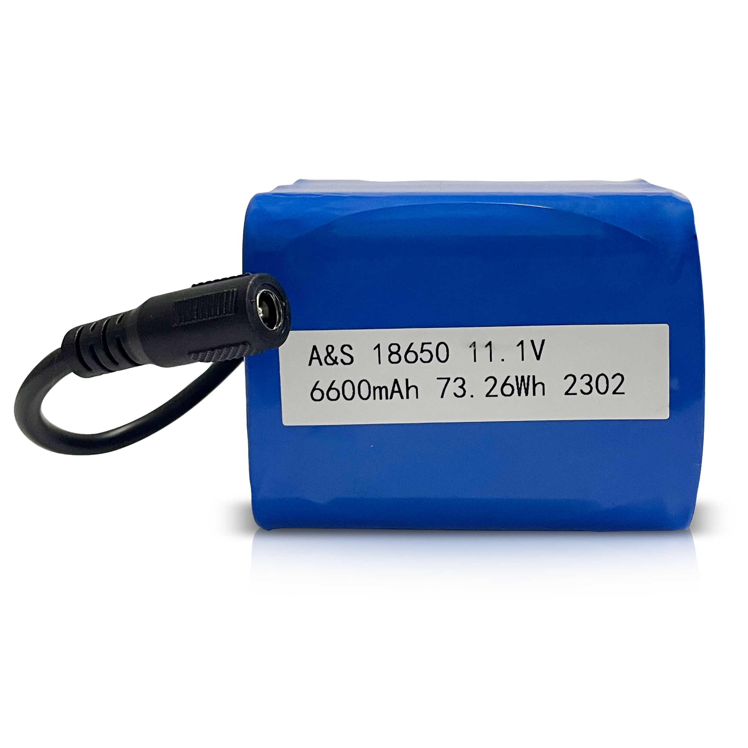  18650 11.1V 6600mAh 73.26Wh Lithium Ion Battery Pack 500 Deep Cycles for Electronic Sprayer