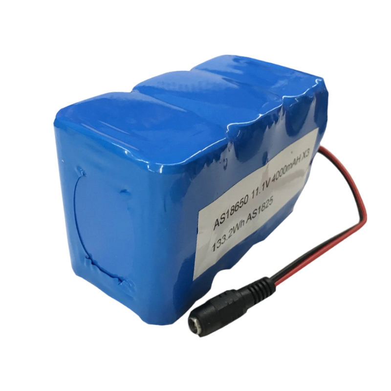 18650 11.1V 12Ah 3S6P Lithium Ion Battery Pack 500 Deep Cycles