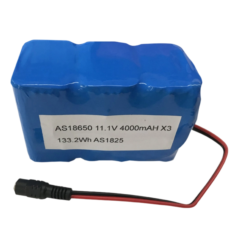 18650 11.1V 12Ah 3S6P Lithium Ion Battery Pack 500 Deep Cycles