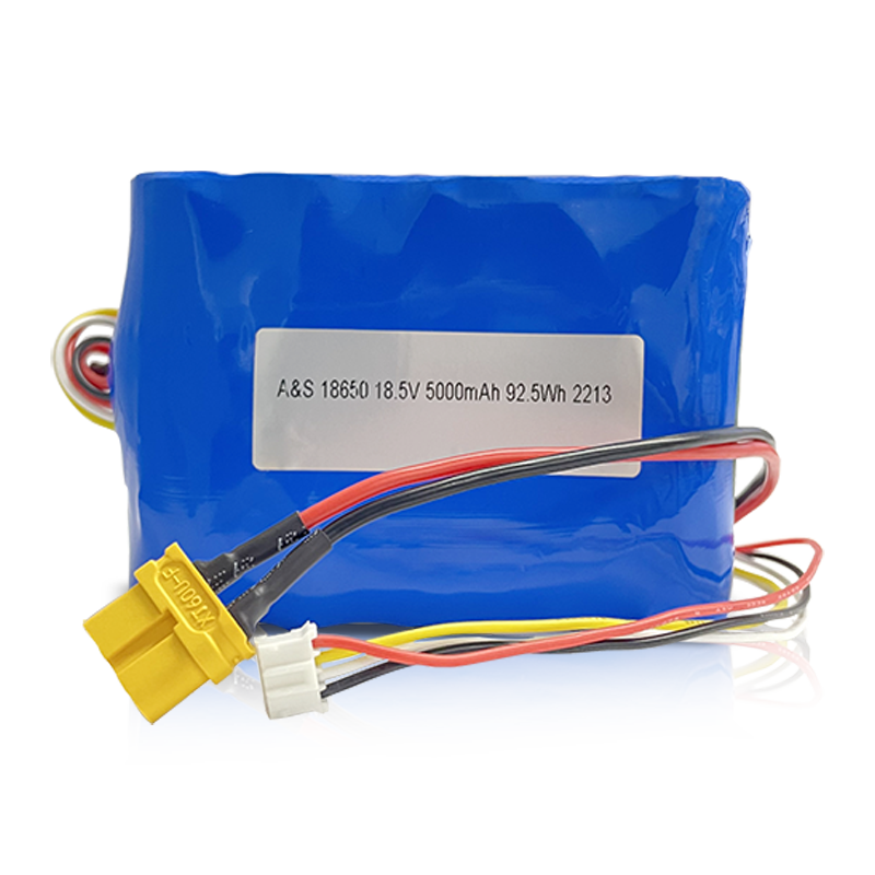 18650 18.5V 5000mAh 5S2P Lithium Ion Battery Pack 500 Deep Cycles