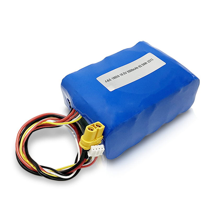 18650 18.5V 5000mAh 5S2P Lithium Ion Battery Pack 500 Deep Cycles