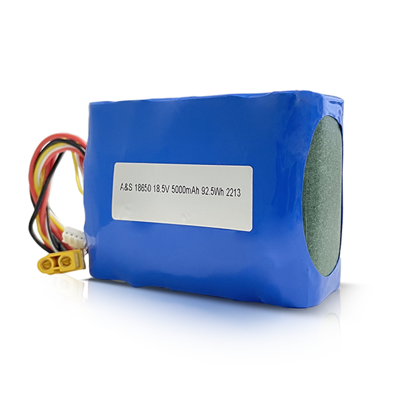 18650 18.5V 5000mAh 5S2P Lithium Ion Battery Pack 500 Deep Cycles