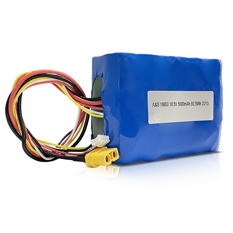 18650 18.5V 5000mAh 5S2P Lithium Ion Battery Pack 500 Deep Cycles