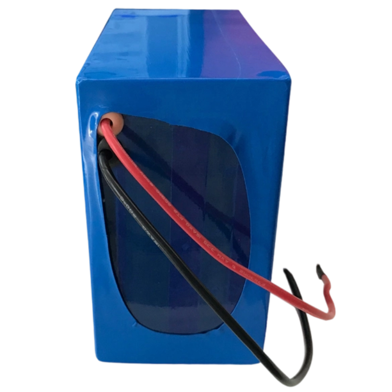 18650 25.9v 15.6Ah 7S6P Lithium Ion Battery Pack 500 Deep Cycles