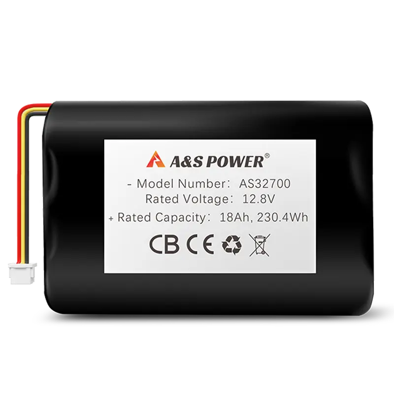 LiFePO4 Battery